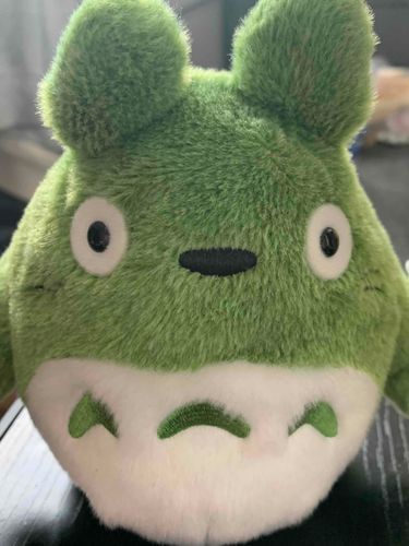 ミンドゥっていう名前のトトロです。ぴにゃぽとはお友達で、2人でいつもぽけぽけしています。