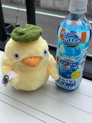 ジュースを飲みながら日向ぼっこ…