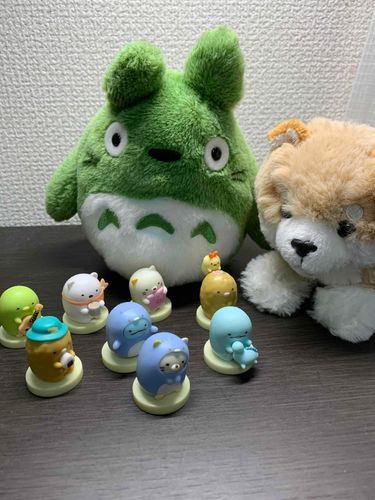 すみっコぐらしの仲間たち。普段は窓際に整列してるよ。