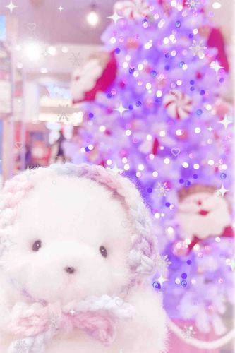つくてもらた あたらしいぼうし つけてごしゅじんとおでかけしてきたよ︎❄️
いろんな おみせにくりすますつりーたくさん あて きれい🎄︎💕︎︎