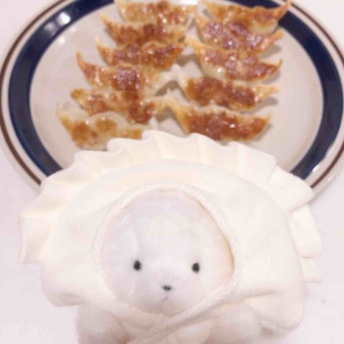 ぎょうざさん🥟