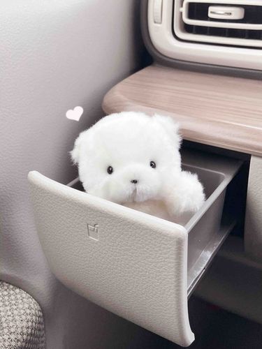 ぼくのとくとうせき( *´꒳`* )♡