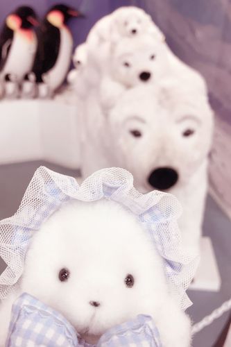 ぼくのおともだちたくさんいたよ🐻‍❄️🩵