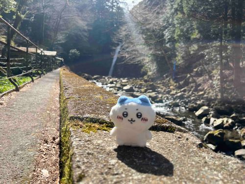わさびの香りがするよっ？！