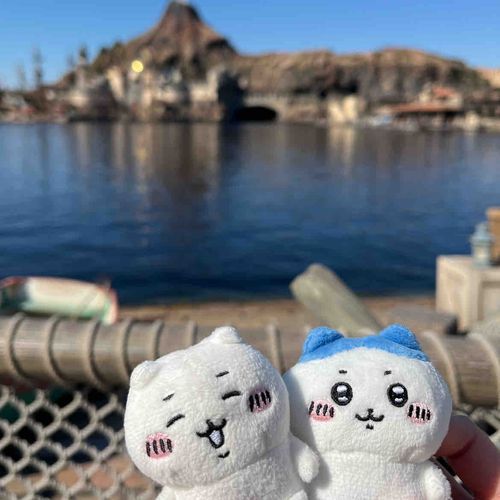 夢の国につれてきた✨