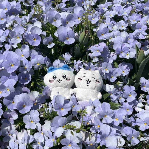 お花に囲まれて嬉しいね🤍