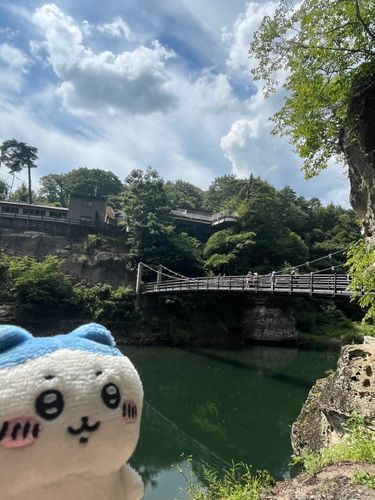 綺麗だね🌲🪾