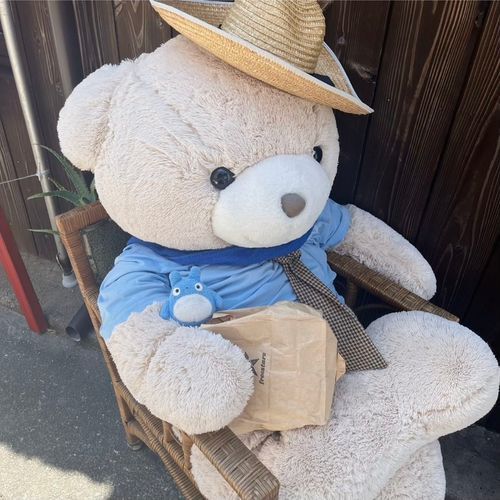 この写真お気に入り
とっちゃんの！(トトロ)