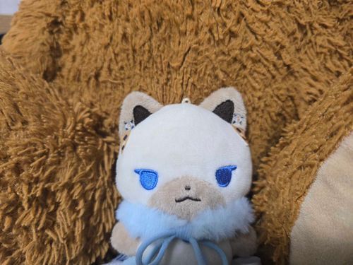 愛しすぎるので一緒に寝ます、今日寒いねー