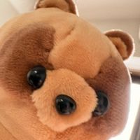 たぬたぬ