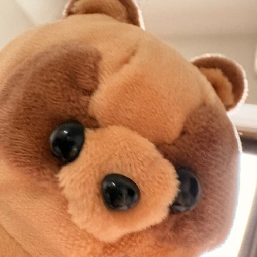 はじめましてたぬぅ。
たぬきのたぬたぬたぬぅ。
わからないなりにえすえぬえすをはじめたたぬぅ。
よろしくなかよくしてたぬぅ✨
