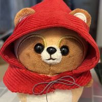 たぬきさん