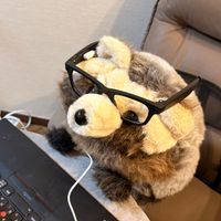 インターネットたぬき