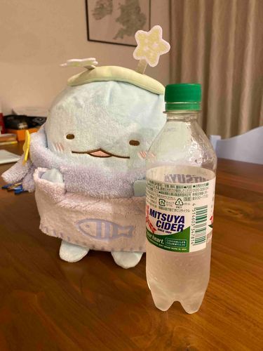 ソーダ飲むぞ！🍻
お風呂上がりの炭酸は最高！
振ったらダメだよ😵😣