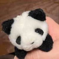 しらす
