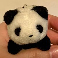 しらす