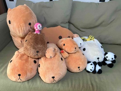 我が家には、パンダもいるけどカピバラさんもたくさんいます。集合写真だよ〜