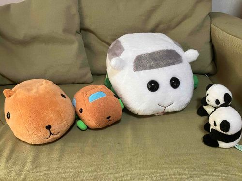 カピバラさん、モルカーのシロモちゃんと、カピバラさんカー。親子ではないけど、親戚だそうです。