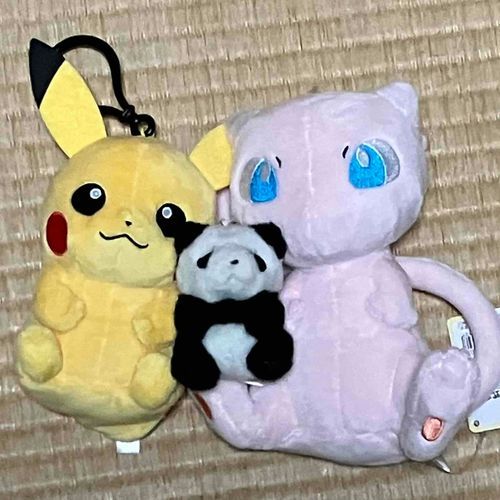 ちいさいひとたちが　おむかえした　あたらしいおともだち！
おしゃべりぴかちゅうちゃん(なまえはまだない)と、みゅうの　すあまちゃん　(おもちちゃんときょうだい　らしい) だよ〜