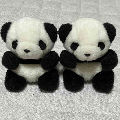 うちのひと　いわく　
きゅるんとしてるのが　かじきちゃんで　
ほわんとしてるのが　まぐろちゃん　だそうです
むずかしい…