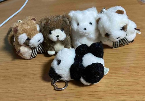 ちいさいひとの　おたんじょうびに　あたらしいおともだちが　きてくれたよー！
ちゃいろいくまの　ここあちゃん🐻と　しろいくまの　ましゅまろちゃん🐻‍❄️
うれしくて　ころころ　してたら　しゃしん　とられてた！
どうぞ　よろしくね〜