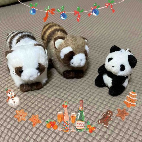 めりーくりすます！！🎄
うちのひと　やみあがりで　ぱーてぃーは　できなかったけど　あたらしいおともだちが　きたよ！
しろいあらいぐまの　ほたてちゃん
ちゃいろあらいぐまの　むーるちゃん🦝
れっさーぱんだに　にてるけど　ちがうんだって！
どうぞ　よろしくね〜
