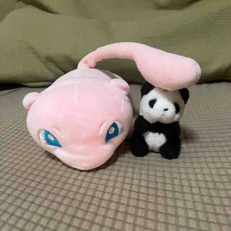 みゅうの　おもちちゃん
ちいさいひとが　おねつで　にゅういんしたときに　いっしょに　みまもり　してくれたよ
もちもちの　はだざわりのとおり　やわらかい　せいかくの　いやしけい