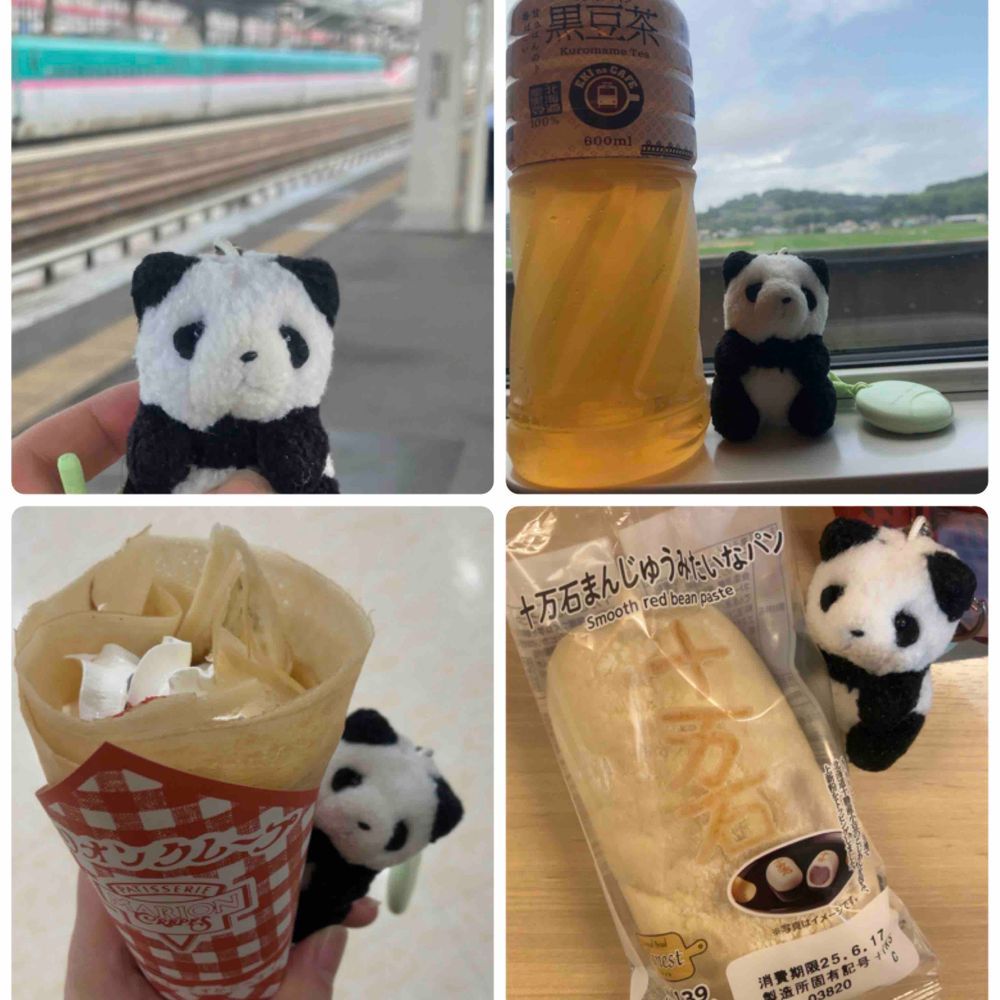 うちのひとと　おでかけ　してきたよ〜！
がまくんとかえるくんの　みゅーじかるを　みにいってきたよ🐸（きのう　よんだ　えほんの　おはなしだよ！）
うちのひと　こどものときに　よんでたし　おうえんしてるひとが　かえるさんやく　だったから　おもいきって　しんかんせんで　びゅーんと　ひがえり🚅🐼
なかよしの　かえるさんと　どうぶつさんたち　たのしい　うたと　だんすで　おもしろかったよ〜💖
こんかいも　さつえい　おっけーのときに　ぶたいの　おしゃしん　とったよ！えほんの　もりの　なかみたい🐸🌳✨