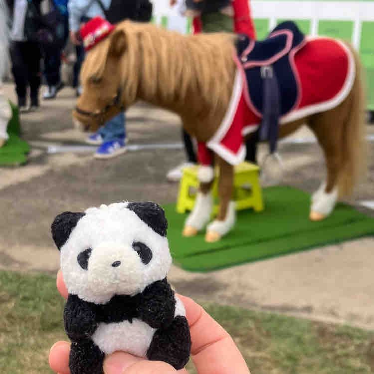 ふぇすの　おもいで　そのに
いべんと　すぺーすに　いた　おっきい　おうまさん🐎　まばたきしたり　もぐもぐしたり　くびや　しっぽも　うごいてたのに　じつは　ろぼっとの　おうまさんって　きいて　びっくり！！
おねえさんは　せなかに　のせてもらって　おしゃしん　とってたよ〜　となりに　かわいい　ろぼおうまさん🐴も　いたよ