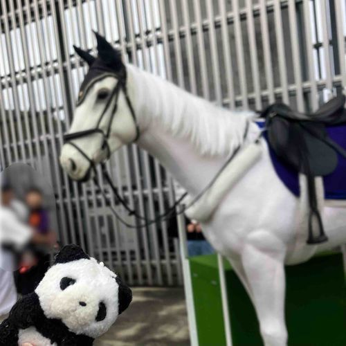 ふぇすの　おもいで　そのに
いべんと　すぺーすに　いた　おっきい　おうまさん🐎　まばたきしたり　もぐもぐしたり　くびや　しっぽも　うごいてたのに　じつは　ろぼっとの　おうまさんって　きいて　びっくり！！
おねえさんは　せなかに　のせてもらって　おしゃしん　とってたよ〜　となりに　かわいい　ろぼおうまさん🐴も　いたよ