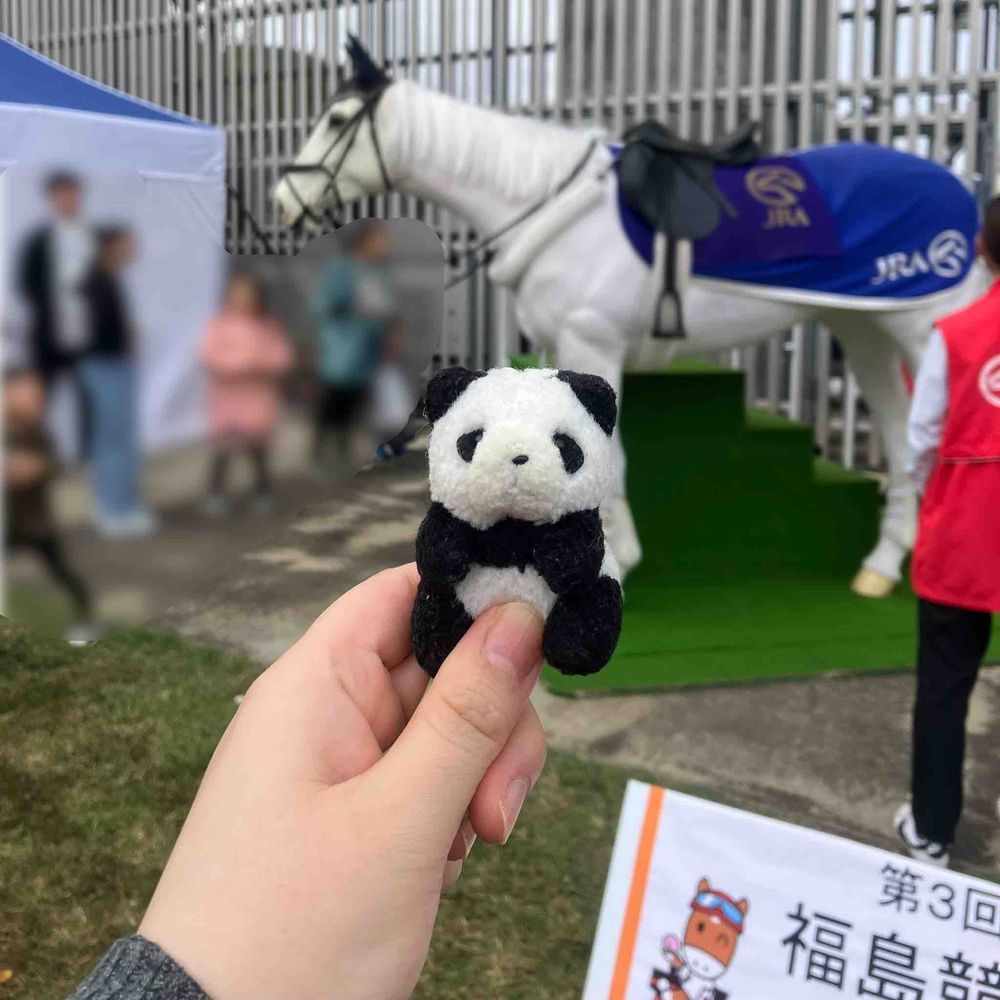 ふぇすの　おもいで　そのに
いべんと　すぺーすに　いた　おっきい　おうまさん🐎　まばたきしたり　もぐもぐしたり　くびや　しっぽも　うごいてたのに　じつは　ろぼっとの　おうまさんって　きいて　びっくり！！
おねえさんは　せなかに　のせてもらって　おしゃしん　とってたよ〜　となりに　かわいい　ろぼおうまさん🐴も　いたよ