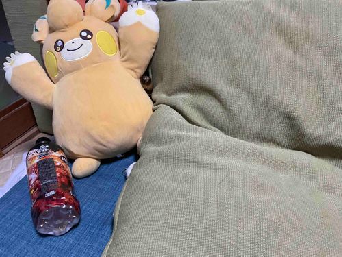 ひらめとかれいはどこにいるでしょう！ちゅうきゅう　（ひらめちゃんは　あたまがいいから　いつも　むずかしいとこに　かくれるんだよ）