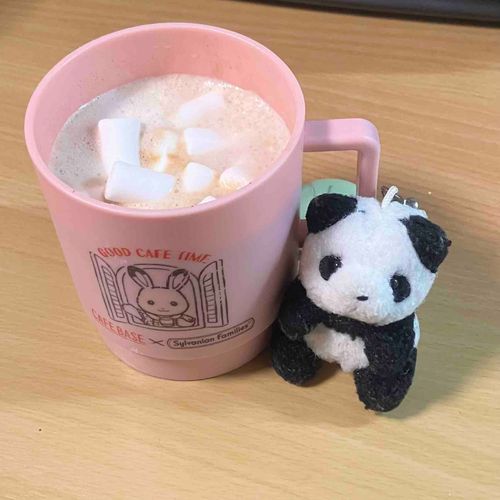 おはよう〜
ましゅまろましまし　かふぇらてだよ☕️ 
きのうは　ぜんぜん　ゆき　なかったのに　あさ　おきたら　まっしろ！❄️
あったかくして　すごそうね