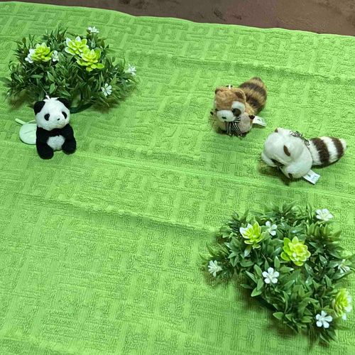 うちのひとが　「たおるの　くさむら🌱」をつくったよ！　ぽこ　あ　ぽけもん　だと　すみかを　つくると　ぽけもんが　きてくれる　みたいだけど… きてくれるかなあ？
