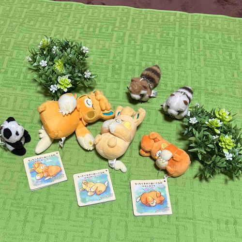 おはよう〜
あさ　おきたら　たおるの　くさむら🌱で　ぱもちゃんたちが　おねんね　してたよ〜！！
しらすたちも　にどね　だ〜💤