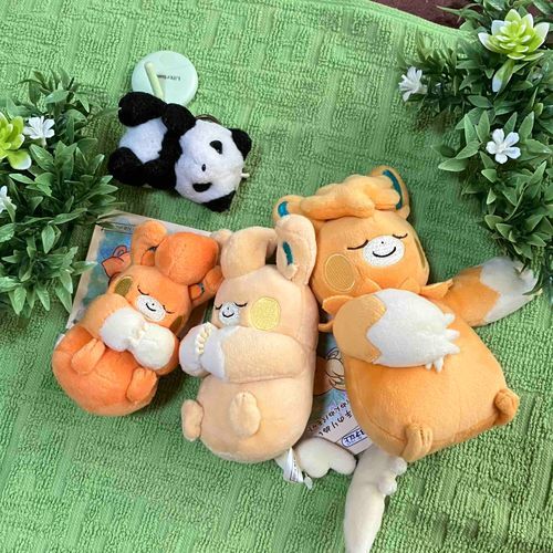 くさむらで　すやすやの　さんきょうだいが　かぞくに　なったよ〜🎶
ひだりから　ぱもの「どんぐり」ちゃん　ぱもっとの　「しい」ちゃん　ぱーもっとの「くるみ」ちゃん！どうぞ　よろしくね〜💤