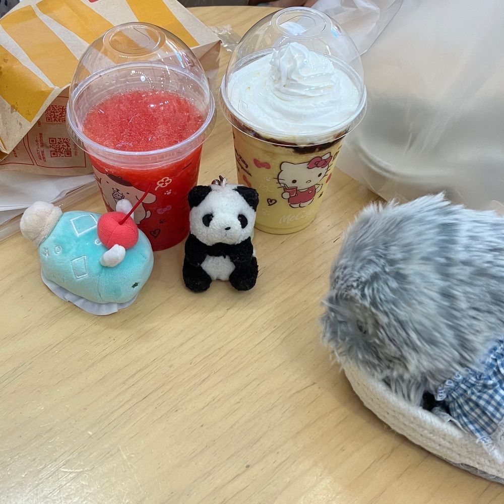 うちのひとたちと　いっしょに　おでかけ　してきたよ〜
うちのひとの　かぞくが　ぼーどげーむの　たいかいに　いってる　あいだ　ふわもこちーむは　みぞれちゃんたちと　ごはん　たべてきたよ
かれー🍛と　びりやに🥘　びりやに　はじめて　みたけど　ふしぎな　においで　おいしかったよ〜
ぷりんちゃんと　きてぃちゃんの　こらぼの　のみものも　おいしかったよ〜🍹