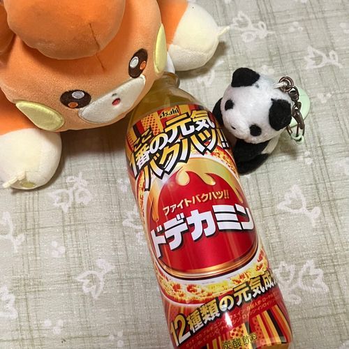 おはよう〜
うちのひとの　すきな　のみもの　らしいけど　げんき　ばくはつ💥　しちゃったら　あぶなくないのかな…？　ぱもちゃんも　ちょっと　しんぱいそうだよ〜