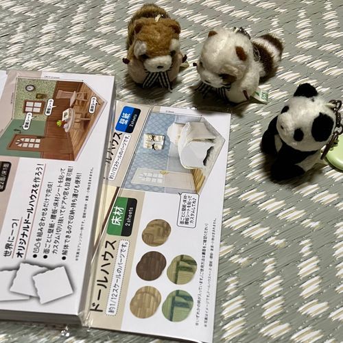うちのひと　しらすたちの　さつえいかいの　じゅんびを　するよ！　だって
ふむふむ　これは…？