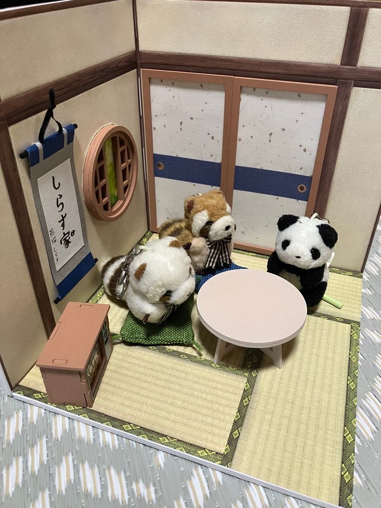 きのう　うちのひとたちが　しらすたちの　おへや　つくってくれたよー！　たたみの　おちつく　おへや🍵　
ほかの　おへやも　つくってくれるかも　だって✨