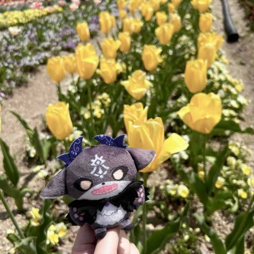 けいやくしゃはチューリップがすきらしい🌷
