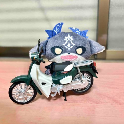 けいやくしゃがバイク買ってくれた🛵