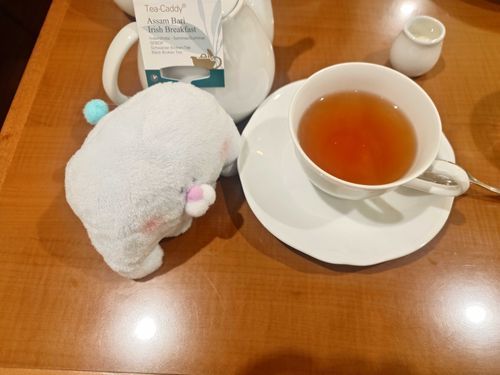 2026.7.6
おむかえしてもらいました
これからよろしくおねがいします

デア