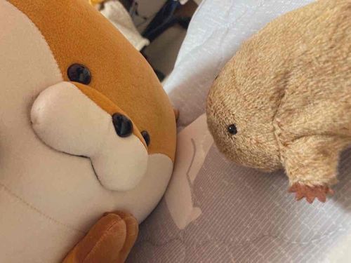 なにか話してた…