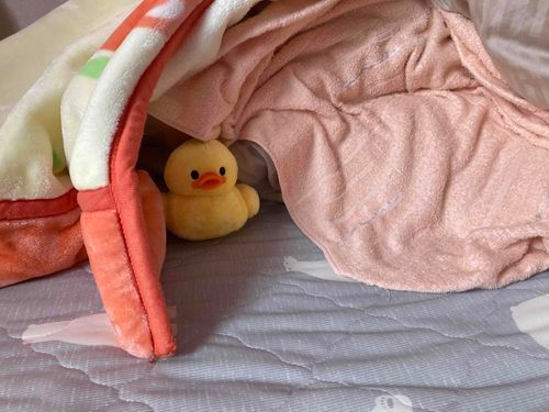 おふとんでマイホームを作ったらしい　ご満悦なようす