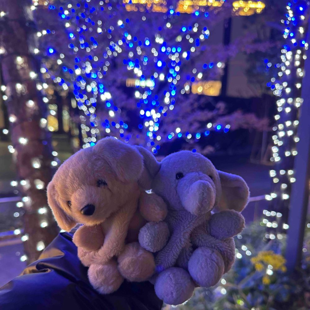 ぬいフェスに行ってきたよ！お友だちがたくさんいて楽しかったー☺️