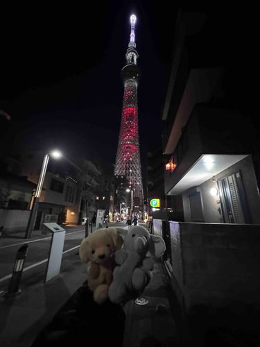 はじめてのスカイツリー大きかったー！
