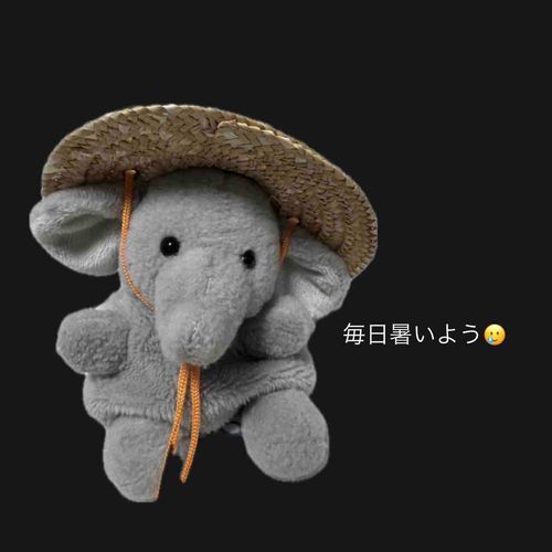 みんな久しぶり〜😭
毎日暑くて溶けそう😭
ということでぞうさん麦わら帽子をゲットしました✨