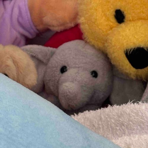 朝から目が合ってホッコリ☺️
実は主、先週末から人生初の胃腸炎で、本気で死を覚悟しました😞
体調いい日がほぼないです。仕事柄、仕方ないんだけど、しばらくお休みするからゆーっくり過ごすことにしました☀️