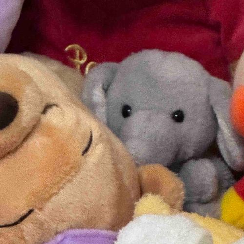 みんなおはよ〜
ふとみると、いつも目が合うの👀不思議🤔
なにげない瞬間が嬉しい〜
たれぞうさんの方のアカウントでも、写真がみれるよ〜😊